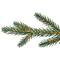 12ft. Pre-Lit Cumberland Pine Artificial Christmas Tree, Warm White LED Lights